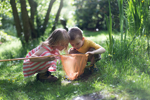 Barn som leker med en håv i naturen.